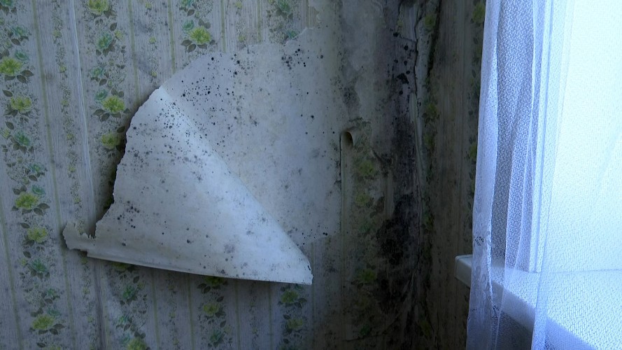 Семья из Иркутска вынуждена снимать жильё из-за грибка в собственной квартире
