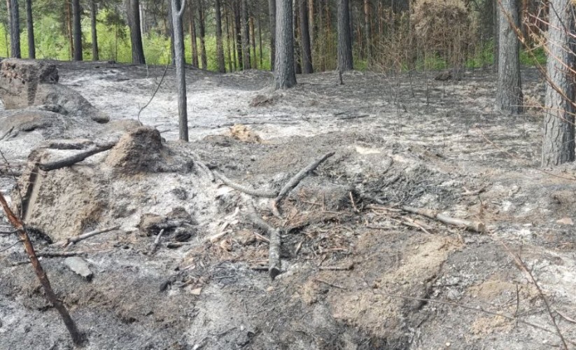 На исправительные работы осуждён житель Братска, по вине которого сгорело  94 га леса и погиб человек