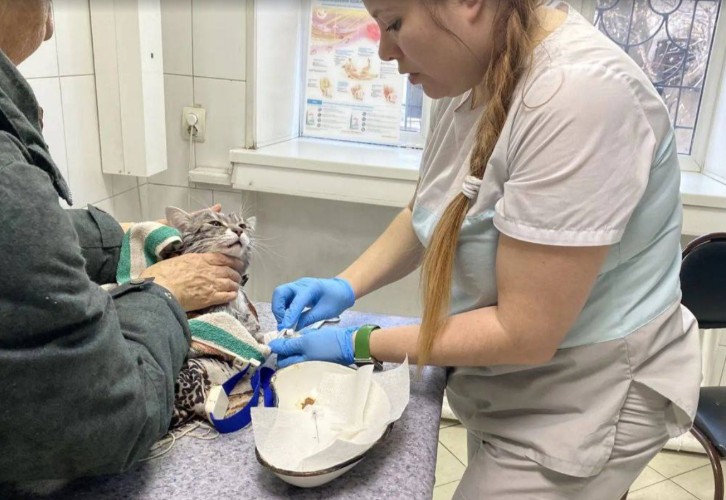 Своего кота постирала в машинке жительница Усолья-Сибирского