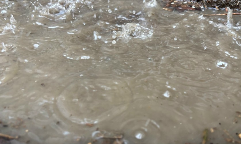 150 тысяч рублей за дождь в квартире получит жительница Иркутска