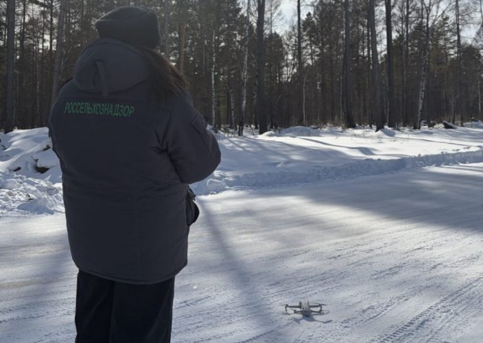 Россельхознадзор начал проверять содержание скота в Приангарье с помощью дронов