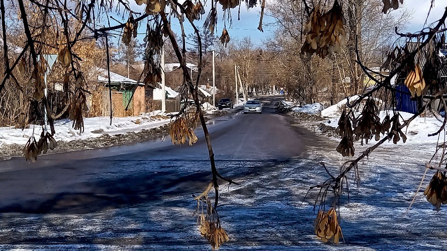 Потепление до +5 градусов обещают синоптики в мартовские выходные