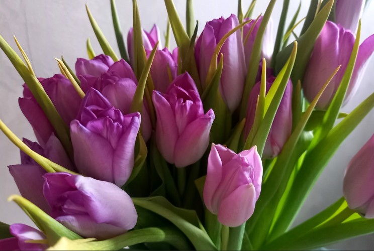 Учителям и врачам в Приангарье могут разрешить получать подарки до 9 тысяч рублей