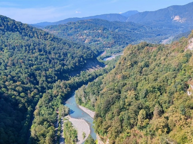 2,6 млн рублей потратят на восстановление тайги в Казачинско-Ленском районе