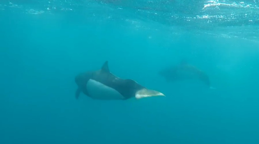 Фонд природы поддержал проекты для сохранения экосистем России