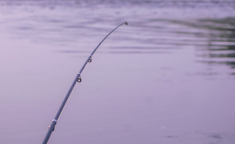 Ловить омуля могут разрешить в Листвянке, Слюдянке и других популярных местах на Байкале