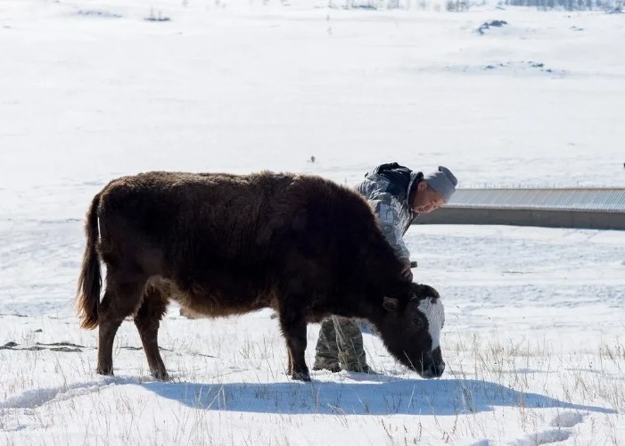 Сельхозпроизводители Приангарья могут получить до 10 миллионов на развитие агротуризма