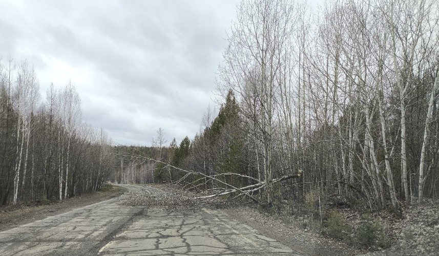 Штормовое предупреждение объявили в Иркутской области на 7 апреля