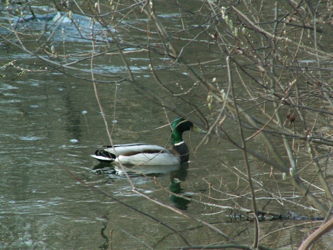 Весна задерживается: лавины и гололедица ожидаются в Иркутской области 8 апреля