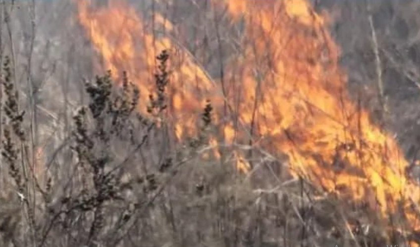 Сухую траву на трёх участках  уничтожат огнём в Иркутске 8 апреля