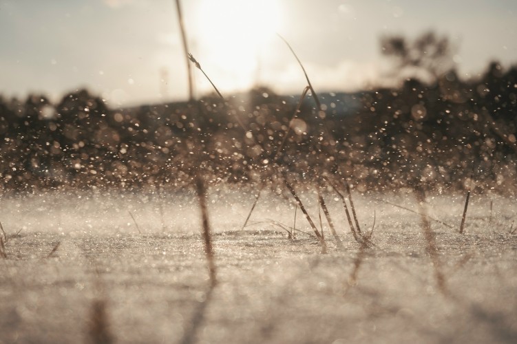 Ветер и метели: не весенняя погода ожидается в Иркутской области 10 апреля