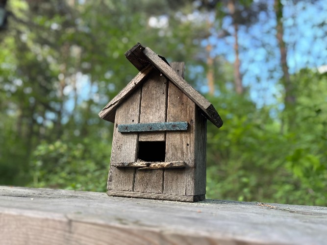 Скворечники в виде мини-копий достопримечательностей появится в Иркутске
