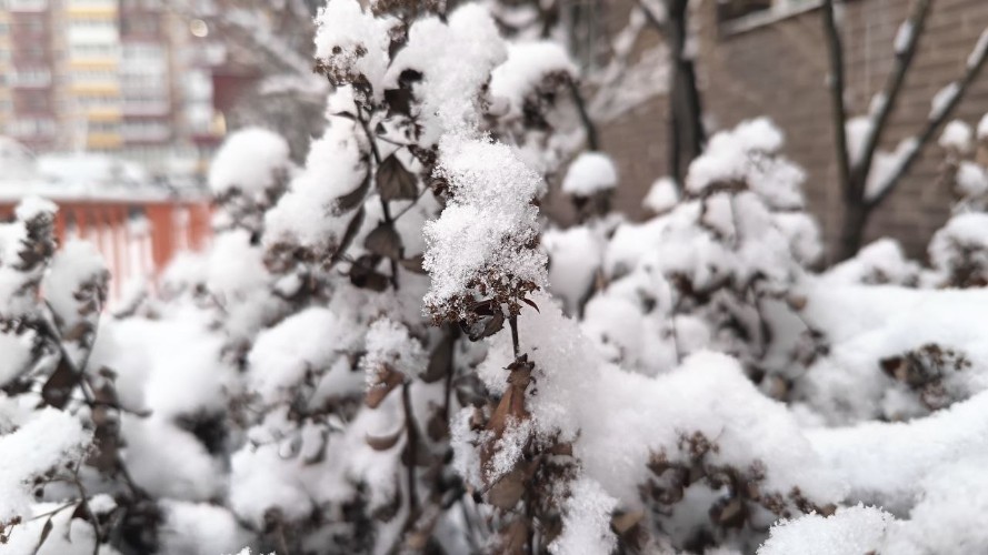 Мокрый снег накроет Иркутскую область 15 апреля