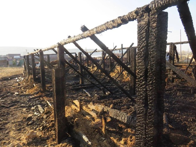 Мужчину осудили за поджог стойла с животными в Черемховском районе