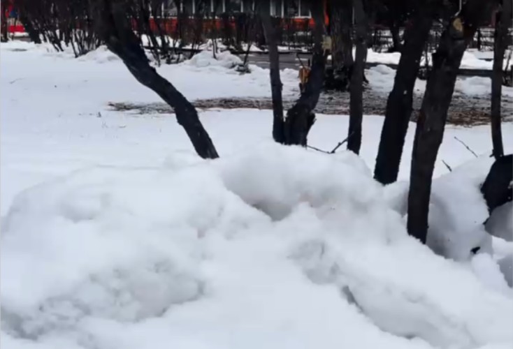 В Черемхове отменили субботник из-за снега