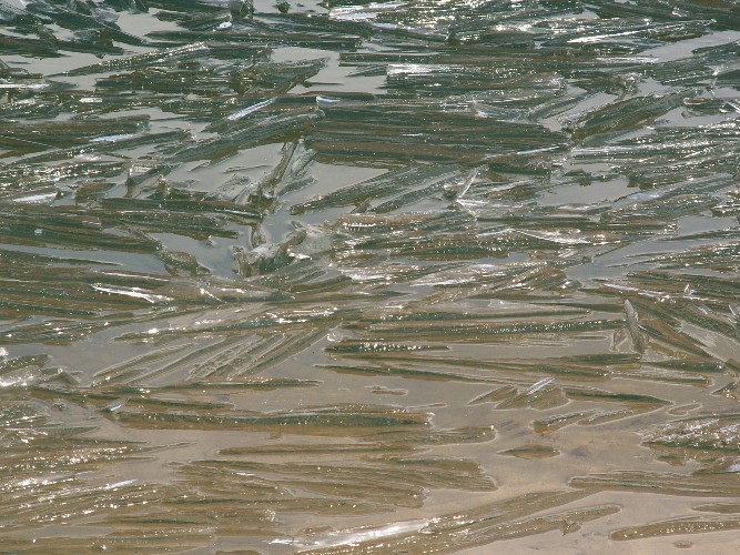 Только одна действующая ледовая переправа осталась в Иркутской области