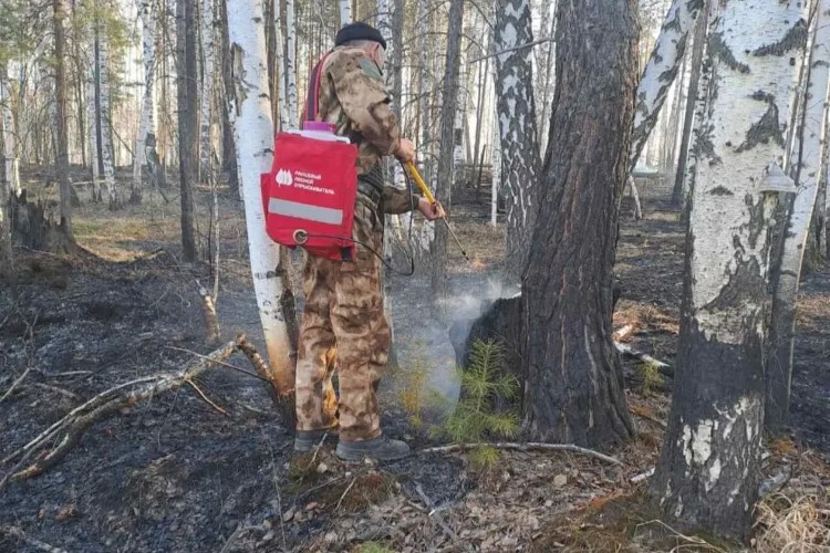 Девять гектаров леса выгорело в Нижнеудинском районе