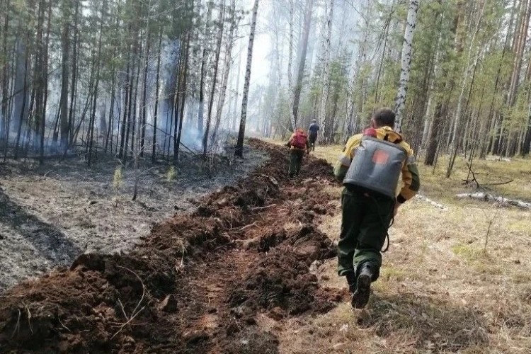 Пять гектаров леса горят в Чунском районе