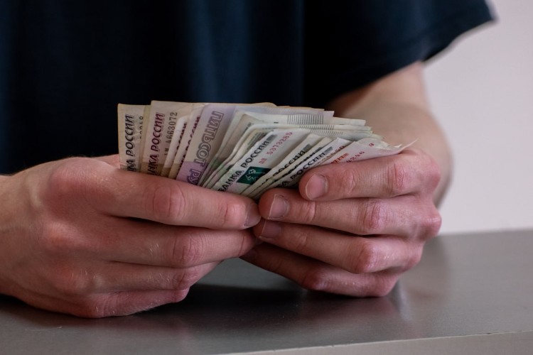 Долг по зарплате на 600 тысяч рублей выплатили работникам фермы в Братском районе
