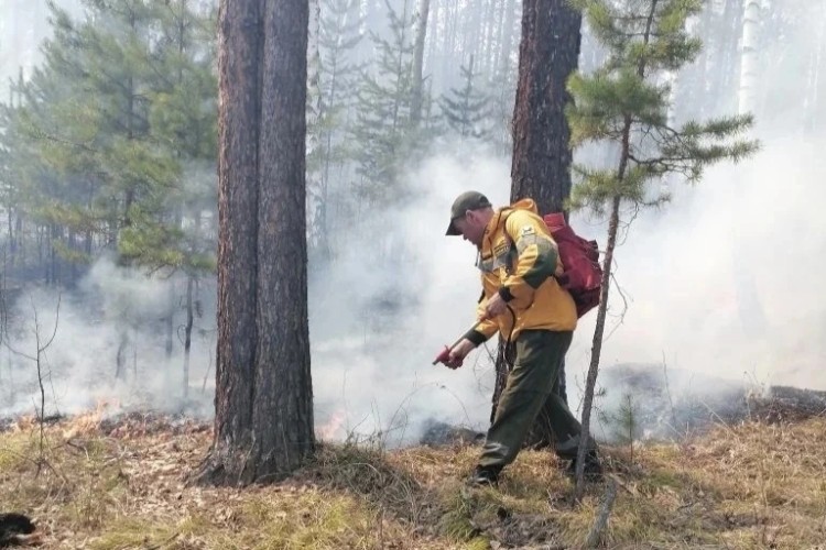 Небольшой лесной пожар потушен в Чунском районе