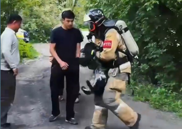 Женщину, ребёнка и собаку спасли из горящей двухэтажки в Иркутске
