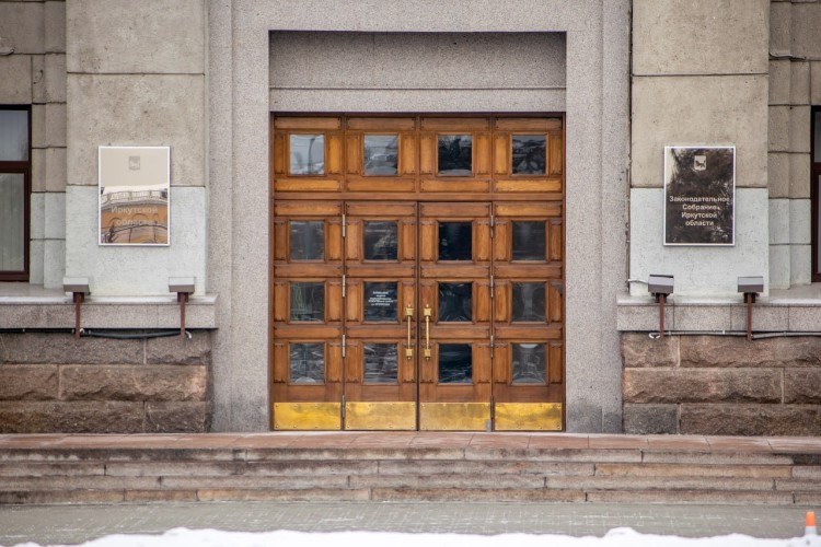 Мэры Приангарья поддержали закон об эвтаназии бездомных собак