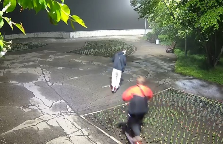 Случаи вандализма на клумбах участились в Иркутске