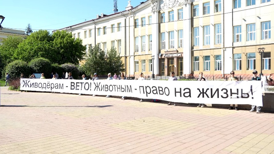 Зоозащитники развернули 20-метровый баннер в Иркутске и потребовали вето на закон об усыплении собак