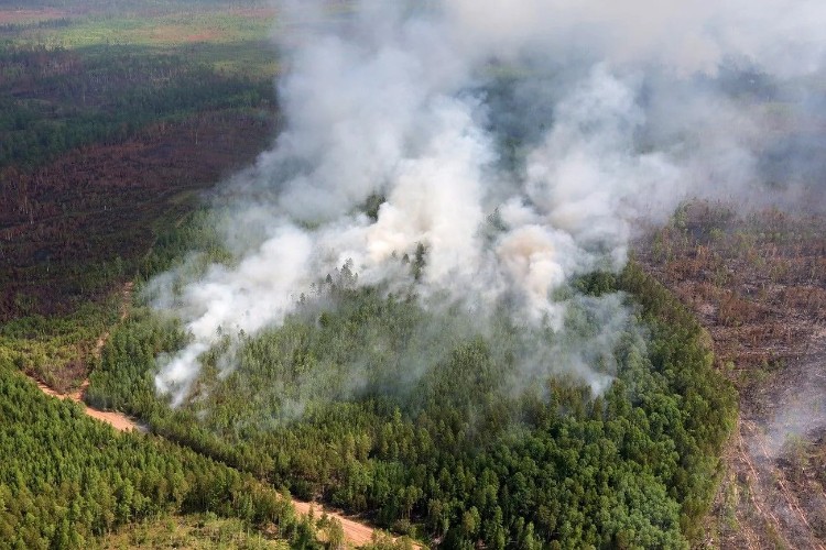 В Катанском районе почти неделю тушат крупный лесной пожар