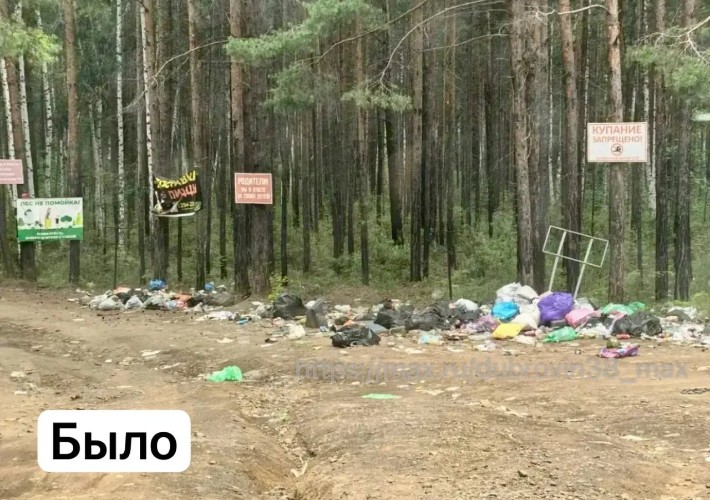 Мэр Братска призвал жителей не создавать привлекающие медведей свалки
