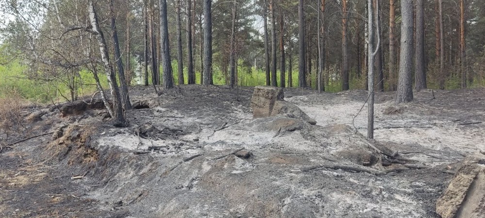 В Иркутской области 25 августа сохранится высокая и чрезвычайная пожароопасность лесов