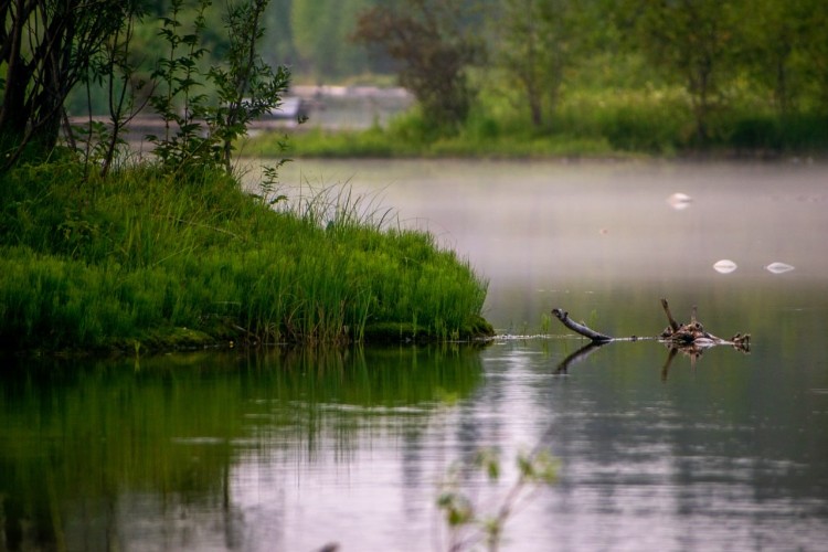 Роспотребнадзор назвал ещё 11 опасных для купания водоёмов Иркутской области