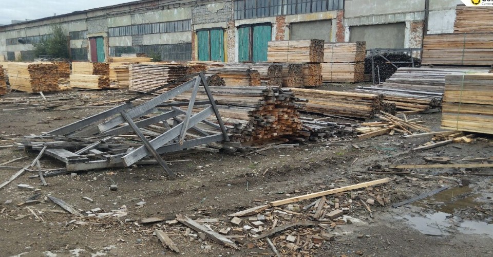 Владельца склада древесины в Зиминском районе наказали за опилки и кору
