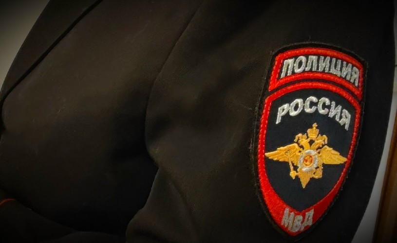 Полицейский в Усть-Илимском районе застрелил медведя в СНТ