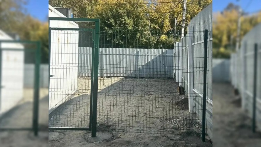 Площадку для выгула стрессущих собак обустроили на Иркутской ветстанции