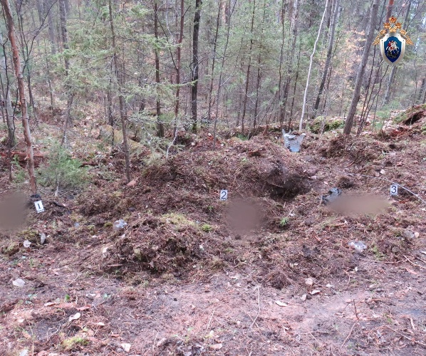 В Нижнеилимском районе сразу двух человек загрызли медведи