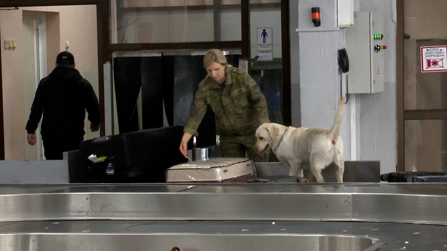 Медузы, скорпионы и украшения: что пытаются провезти в Иркутск авиапассажиры