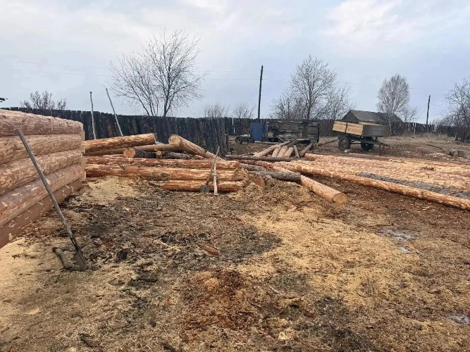 В Нижнеудинском районе мужчина незаконно вырубил 28 деревьев и получил срок