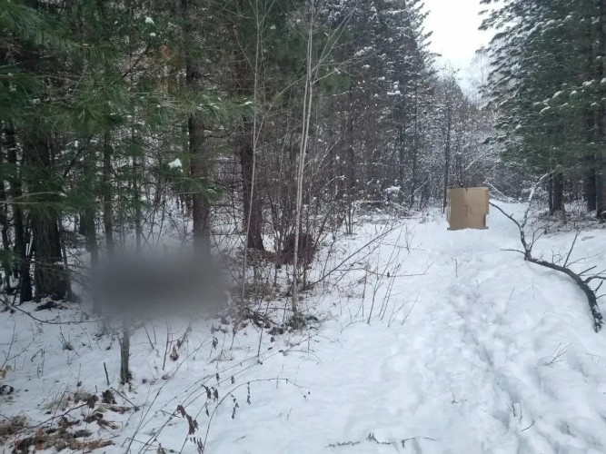 В Нижнеудинском районе возбудили дело о причинении смерти по неосторожности на охоте