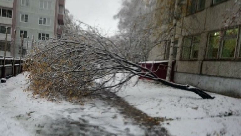 В честь Всемирного дня переработки общественники собирали макулатуру и бутылки