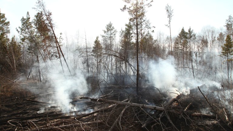 2,5 млрд рублей предусмотрено на охрану лесов Иркутской области от пожаров в этом году