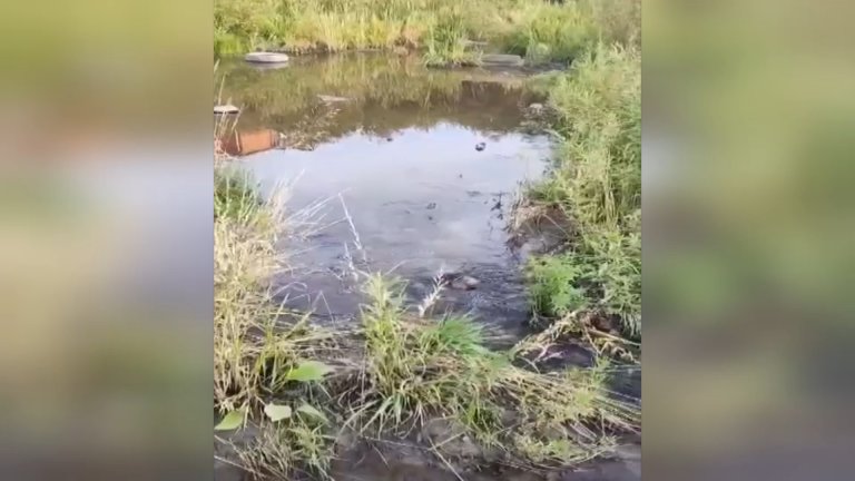 Быть или не быть школе на ул. Багратиона в Иркутске: новые проблемы?