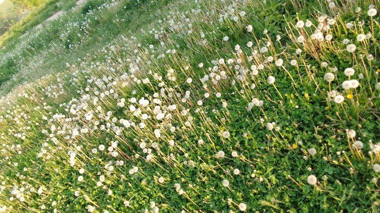 "По весточке": со всего света