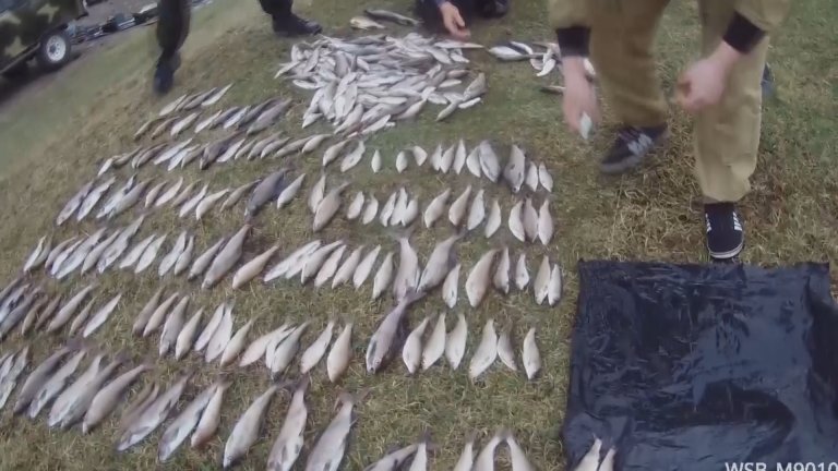 Убивающую всё живое в воде электроудочку использовали браконьеры в Нижнеудинском районе для ловли хариуса