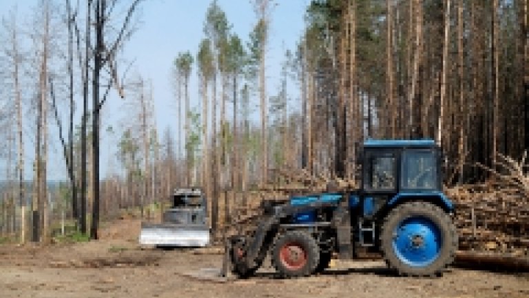 Общественные инспекторы окружающей среды появятся в Иркутской области