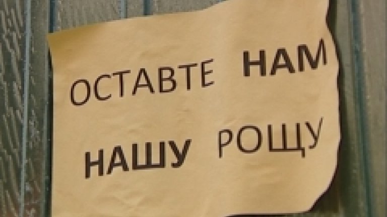 Спасите нашу рощу