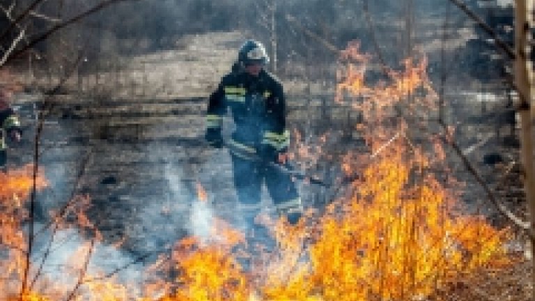 Горели серьёзно... Но меньше, чем в прошлом году