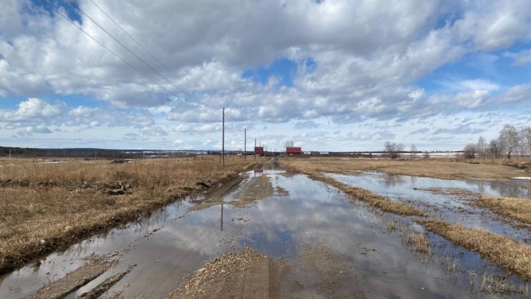 По грязи и в темноте приходится добираться ученикам до остановки школьного автобуса в Зиминском районе