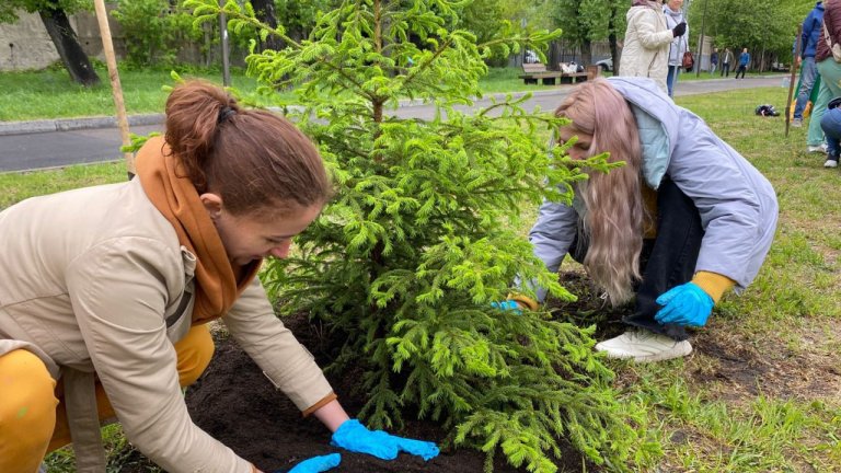 Две новых зелёных аллеи появились в Иркутске