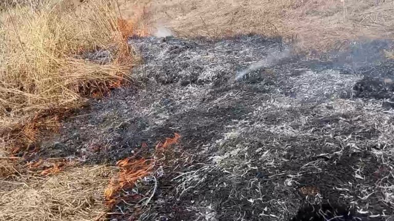 Дым и сильный запах гари фиксируют в районе Кругобайкальской железной дороги